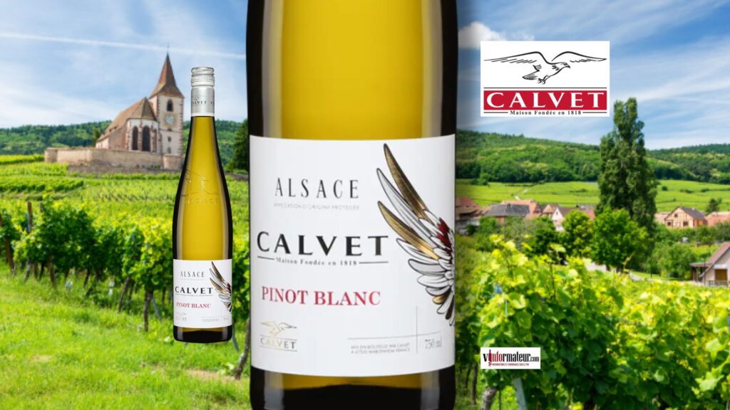 Tension et sensation de minéralité pour ce Pinot Blanc d’Alsace signé Calvet