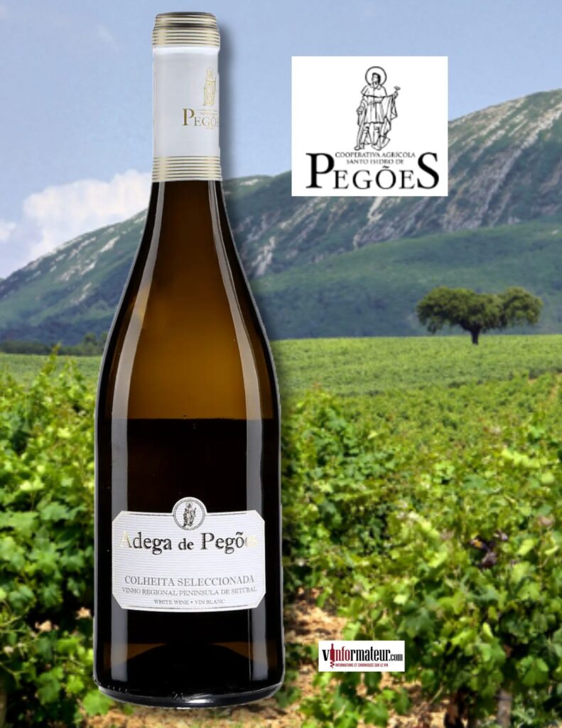 Adega de Pegoes, Colheita Seleccionada, Portugal, Péninsule de Sétubal, Cooperativa Agricola de Santo Isidro de Pegoes, vin blanc, 2023 bouteille
