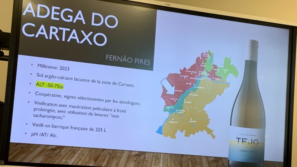 Adega do Cartaxo, Grande Reserva, 2023