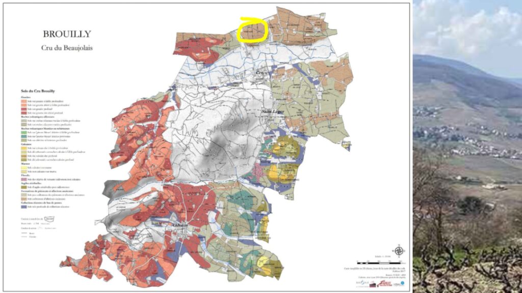 Carte viticole Beaujolais, cru Brouilly