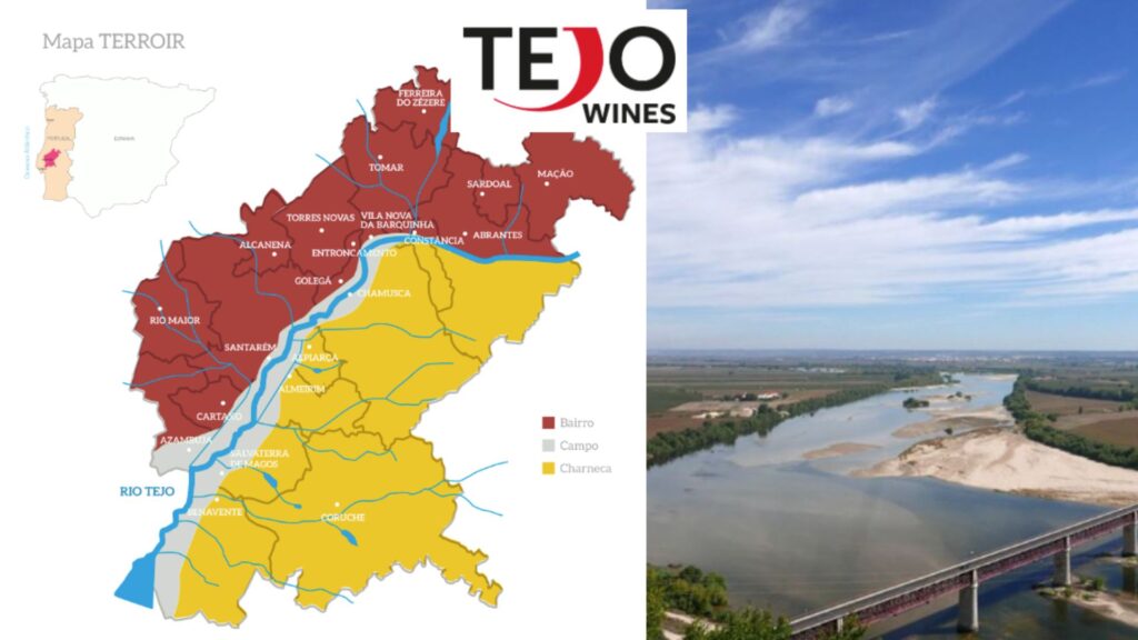 Carte viticole Tejo, Portugal
