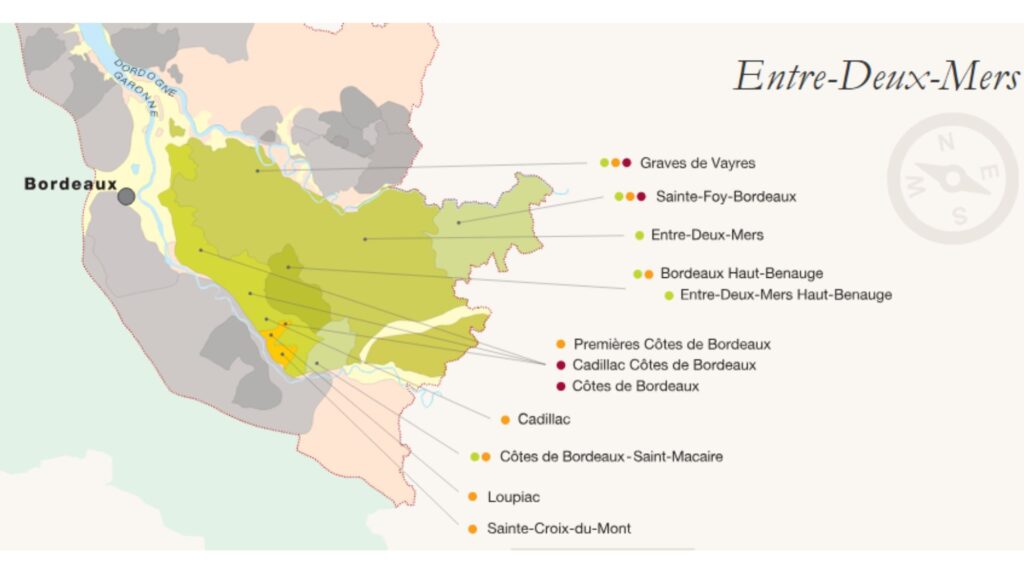 Carte viticole Bordeaux Entre-deux-Mers