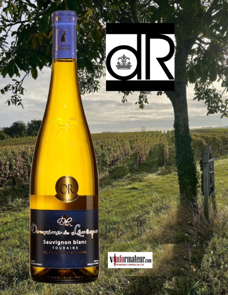 Sauvignon blanc, Domaine de Lévêque, France, Val de Loire, Touraine, vin blanc, 2023 bouteille