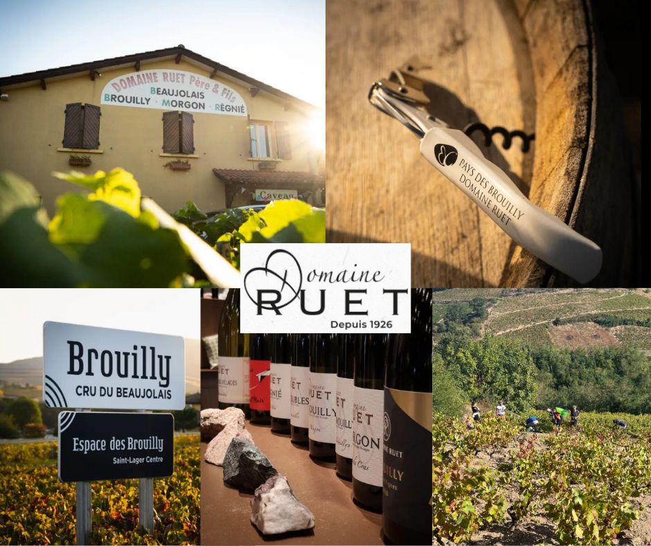 Domaine Ruet: chai et vignobles