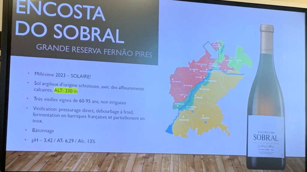 Encosta do Sobral, Grande Reserva, 2023