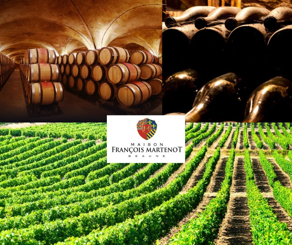 Maison François Martenot - Grands Chais de France: chai et vignobles