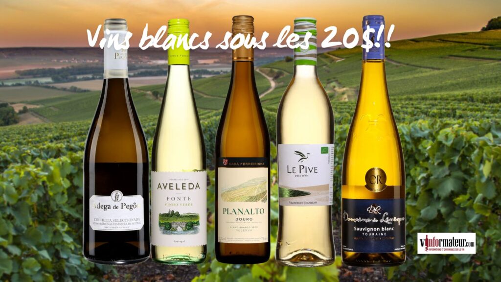 Cinq vins blancs de France et du Portugal sous les 20$ bouteilles