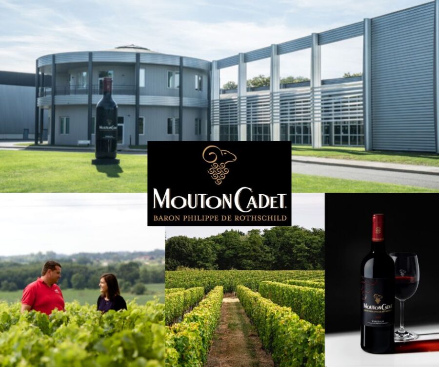 Mouton-Cadet: centre vinicole, vignobles