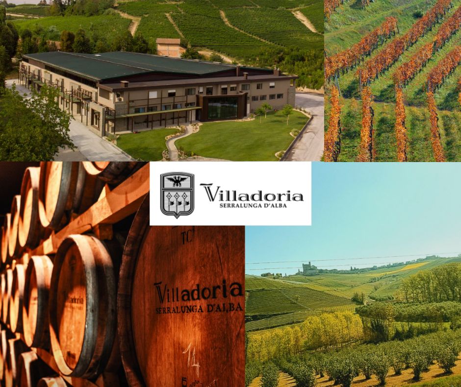 Villadoria: chai et vignobles