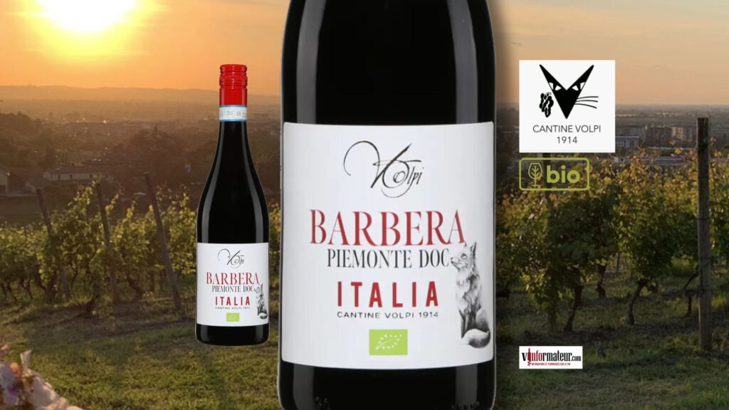 Barbera, Cantine Volpi, Italie, Piémont DOC, vin rouge bio, 2022 bouteille