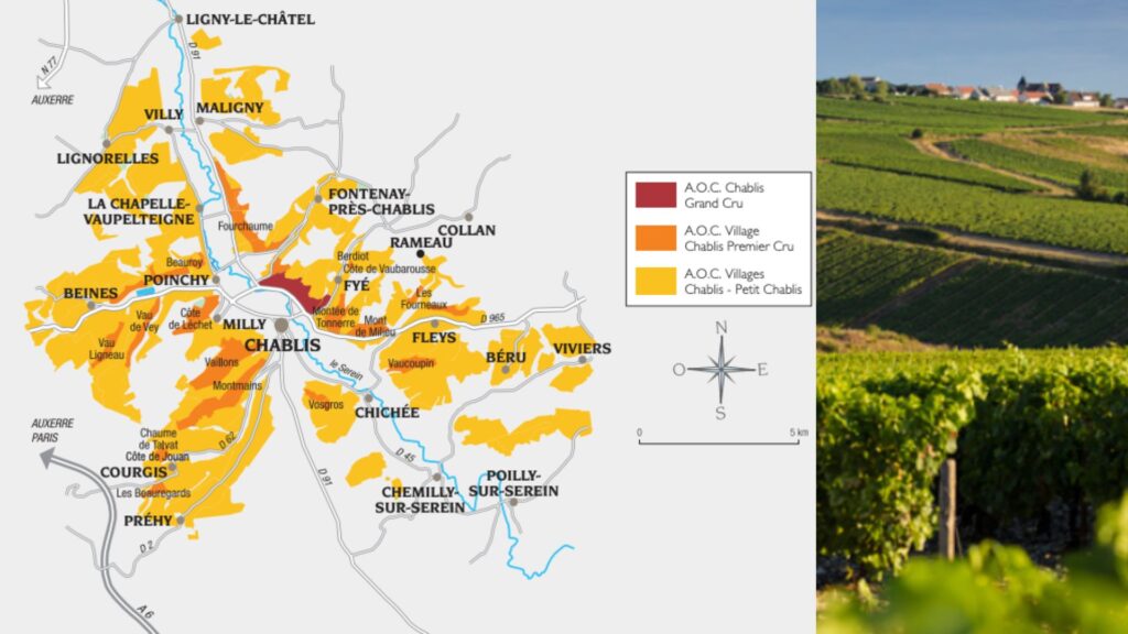Carte viticole Chablis