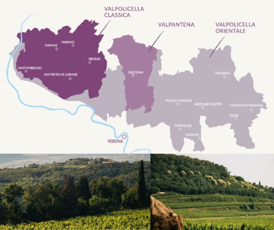 Carte viticole Valpolicella