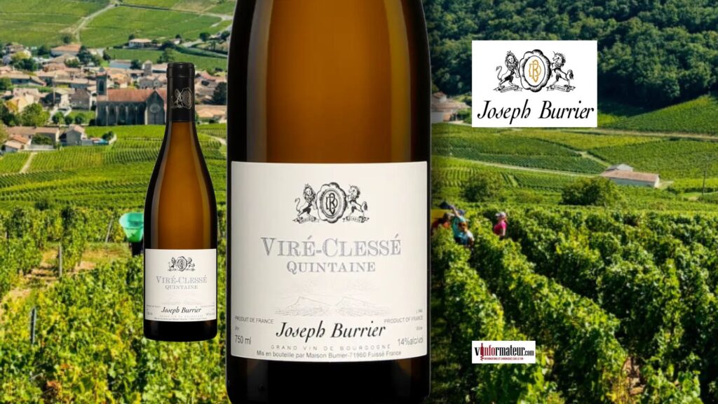 Quintaine, Viré-Clessé, Mâconnais, Joseph BUrrier, vin blanc, 2022 bouteille