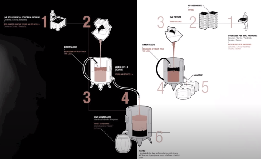 Processus de vinification Amarone et Ripasso