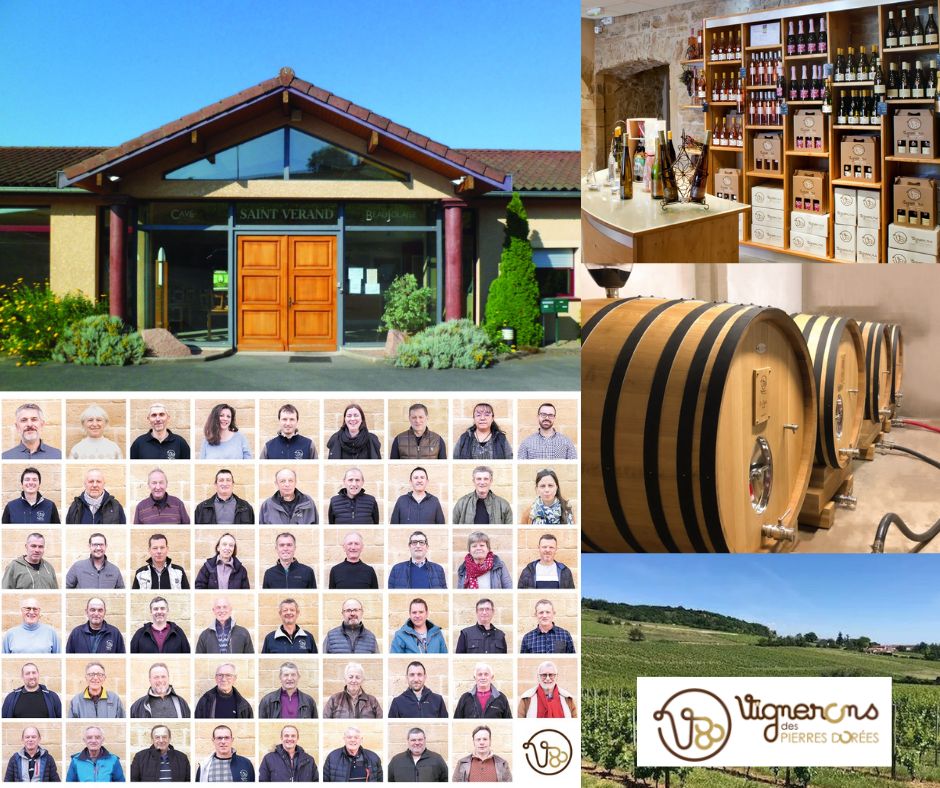 Vignerons des Pierres Dorées: vignerons, chai et vignobles