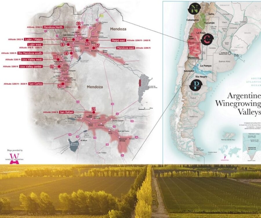 Carte viticole Masi Tupungato Mendoza