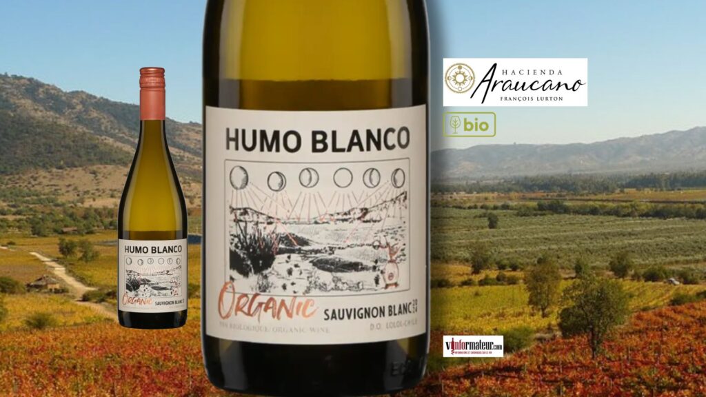Humo Blanco 2024, un Sauvignon blanc citronné, net, incisif et savoureux.