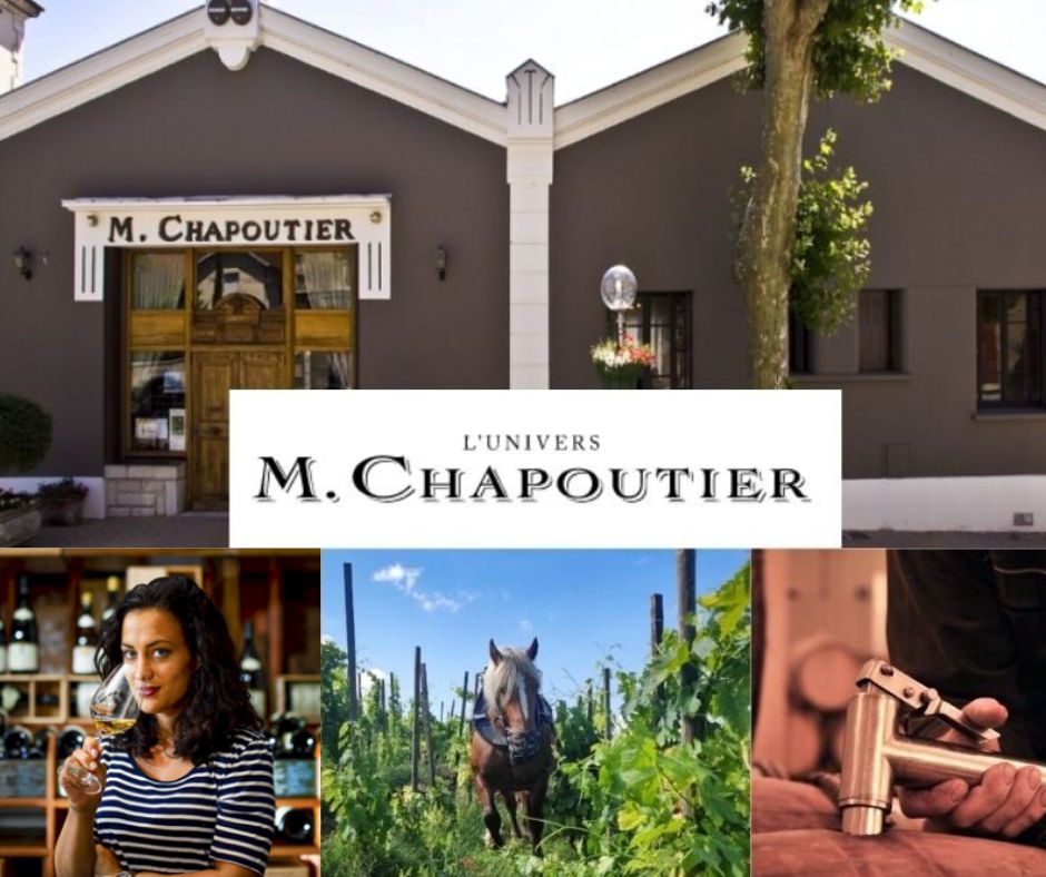 M. Chapoutier: Mathilde Chapoutier, chai et vignobles