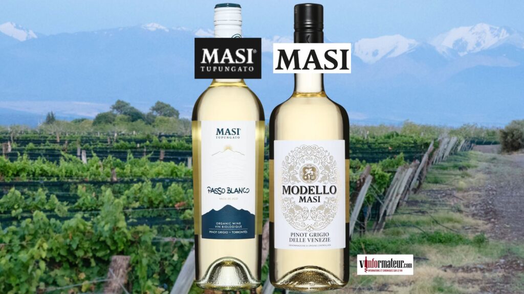 Pinot Grigio Italie et Argentine - Masi