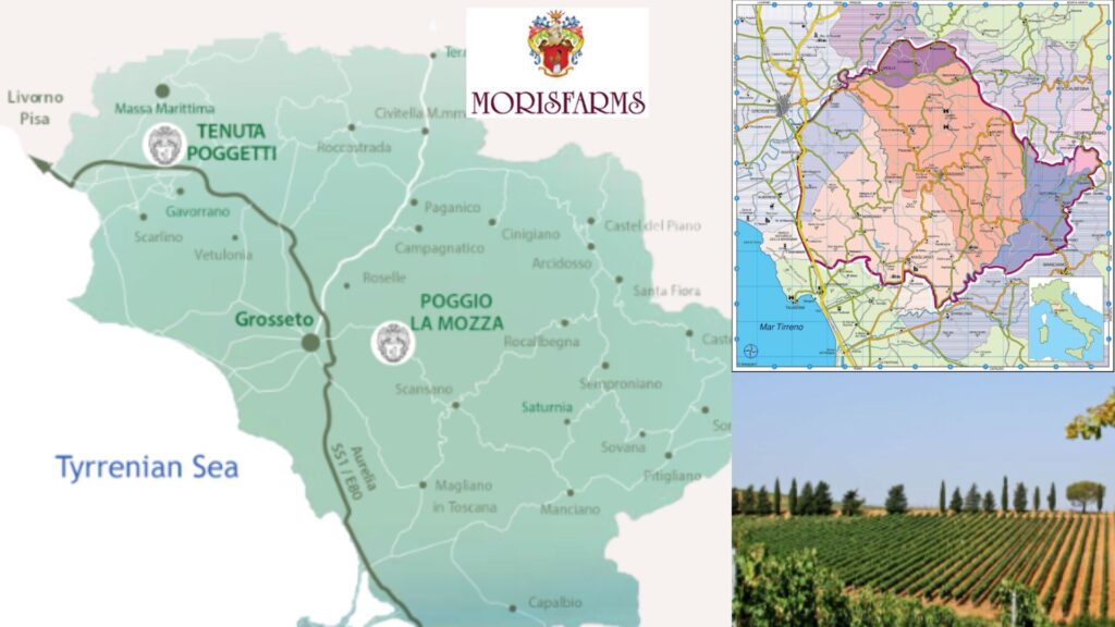 Carte viticole MorisFarms, Morellino di Scansano/Poggio La Mozza