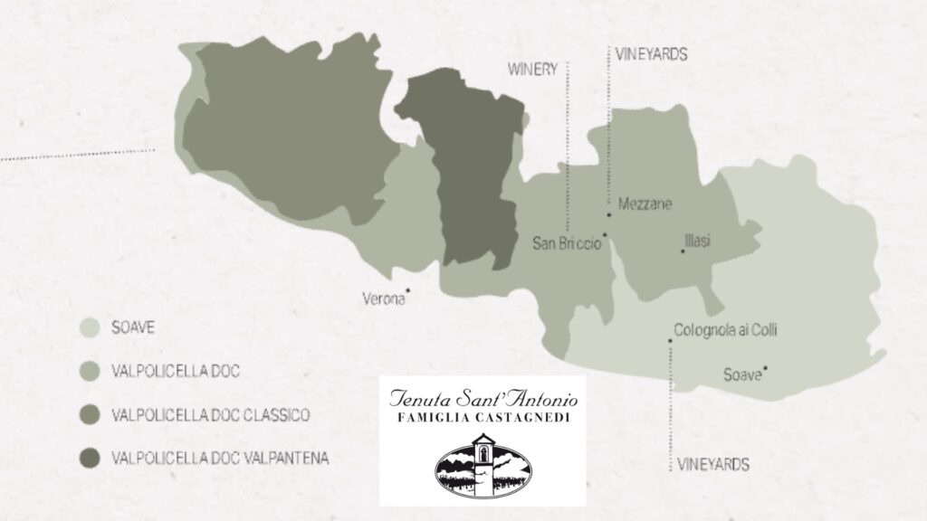 Carte viticole Tenuta Sant'Antonio