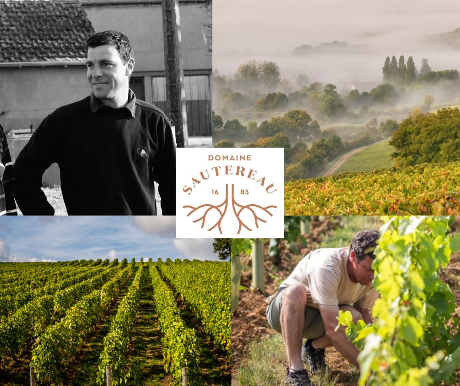 Domaine Sautereau: David Sautereau, vignobles