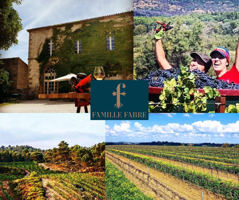 Famille Fabre: chai, vignobles
