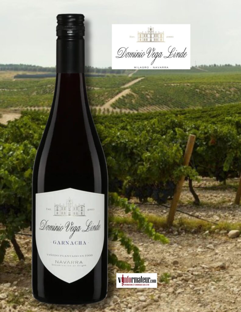 Dominio Vega Linde, Garnacha, Espagne, Navarra, vin rouge, 2023 bouteille