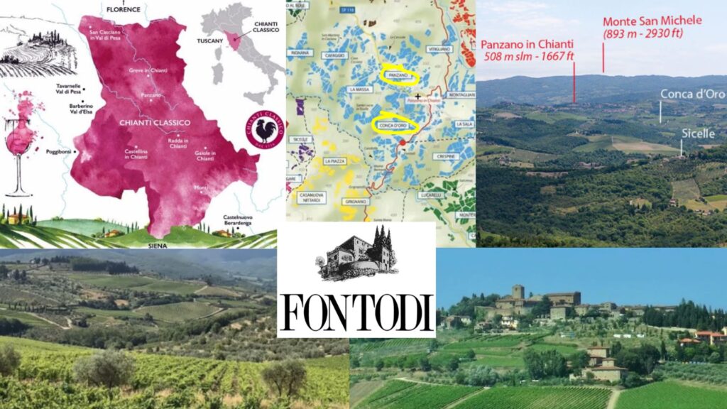 Fontodi: Panzano in Chianti et Conca D’Oro