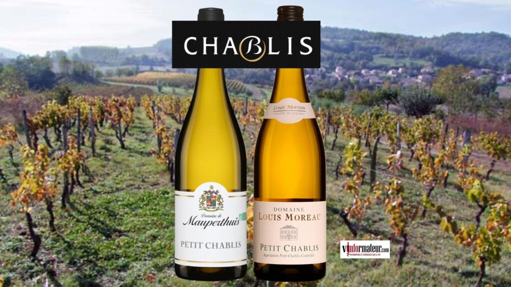 Domaine Louis Moreau, France, Bourgogne, Petit Chablis, vin blanc, 2023, Domaine de Mauperthuis, France, Bourgogne, Petit Chablis, vin blanc bio, 2023 bouteilles