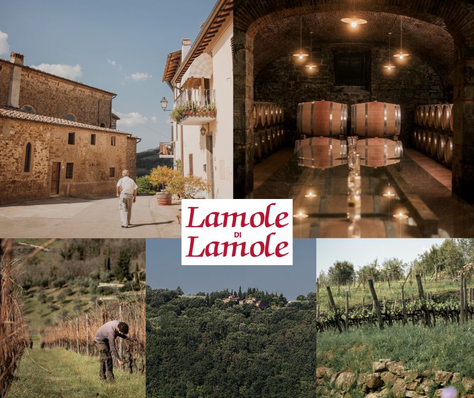 Lamole di Lamole: chai et vignobles