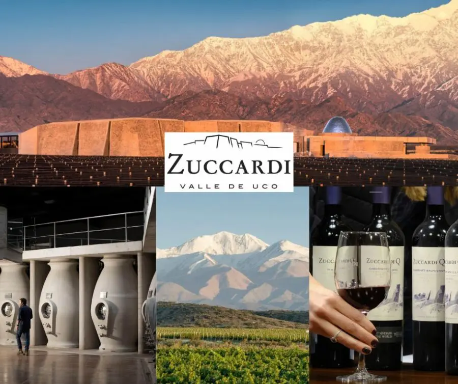 Zuccardi: chai et vignobles