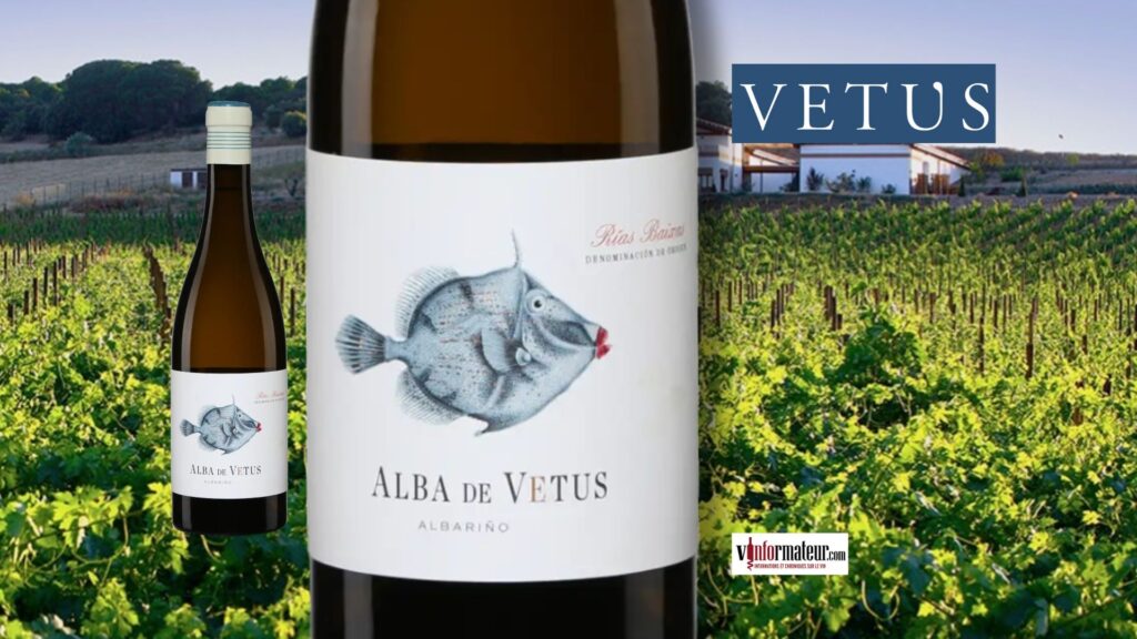 Bodegas Vetus, Alba de Vetus, Espagne, Galice, Rias Baixas, vin blanc, 2024 bouteille
