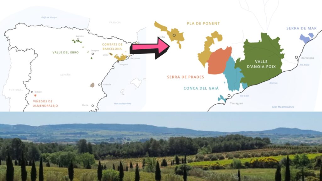 Carte viticole DO Cava