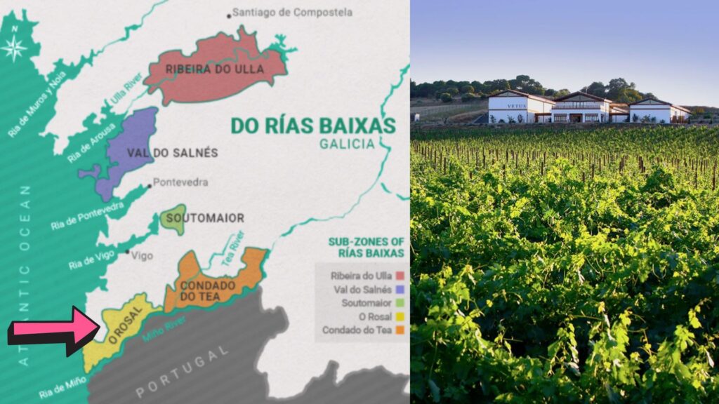 Carte viticole Rias Baixas
