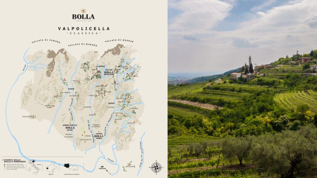 Carte viticole Cantina Bolla