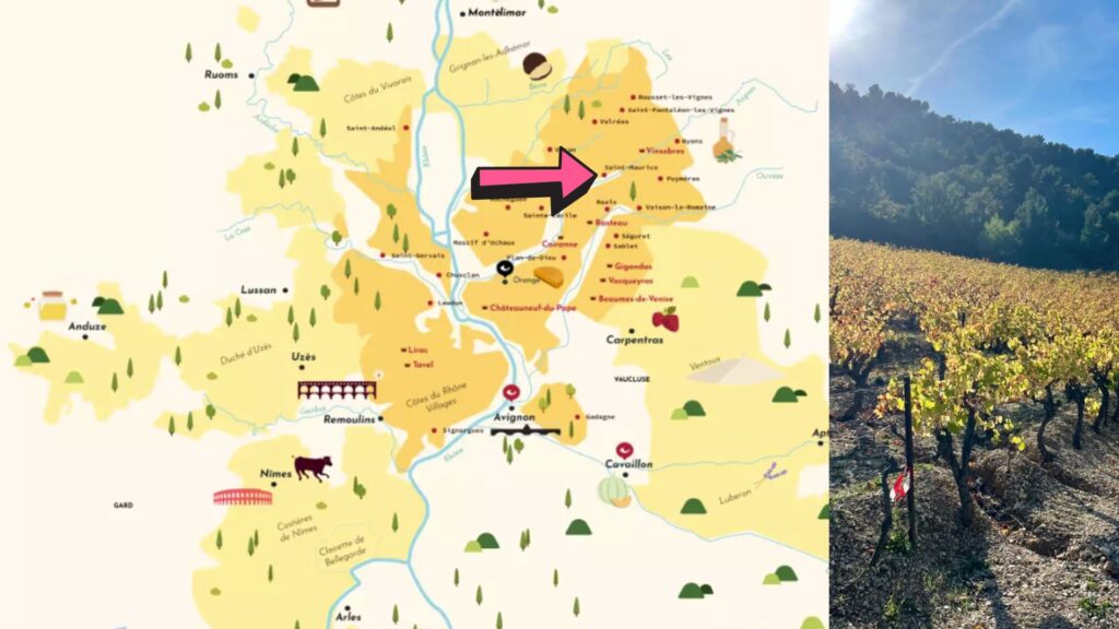 Carte viticole Vignoble Vallée du Rhône - méridionale