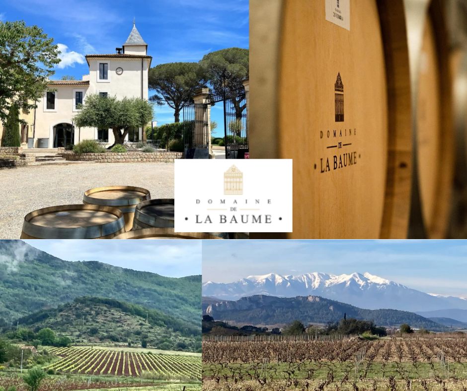 Domaine de la Baume: chai et vignobles