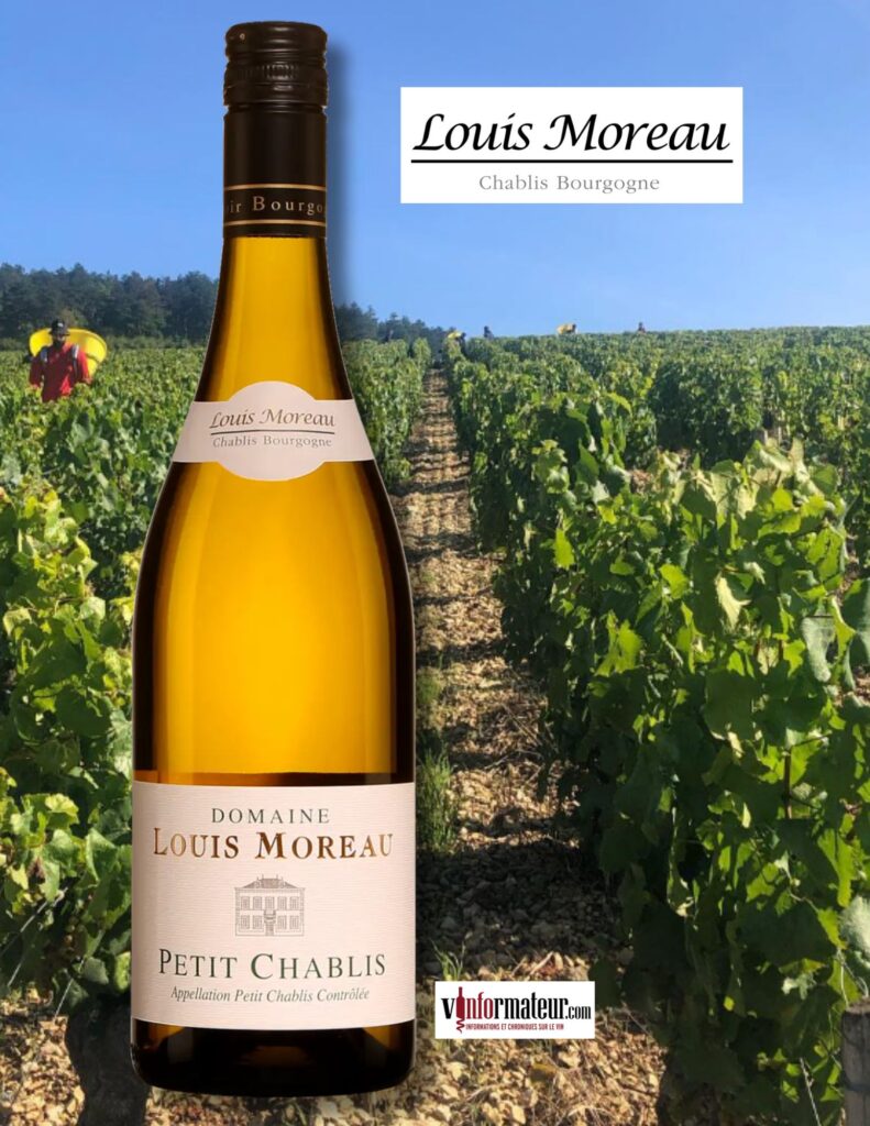 Domaine Louis Moreau, France, Bourgogne, Petit Chablis, vin blanc, 2023 bouteille