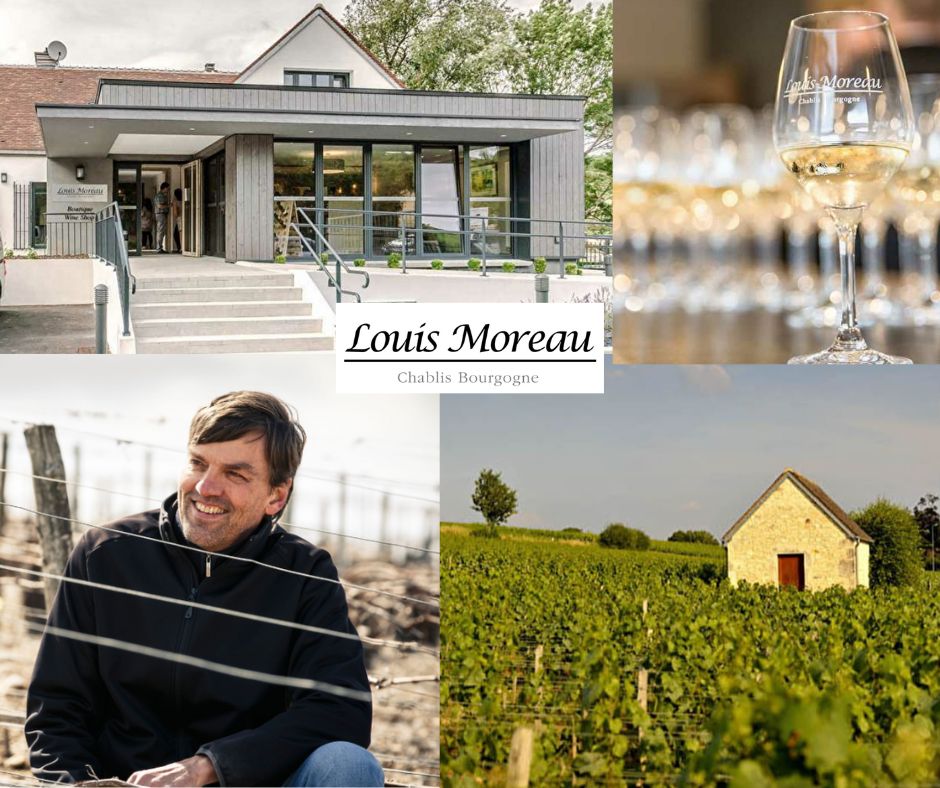 Domaine Louis Moreau: chai et vignobles