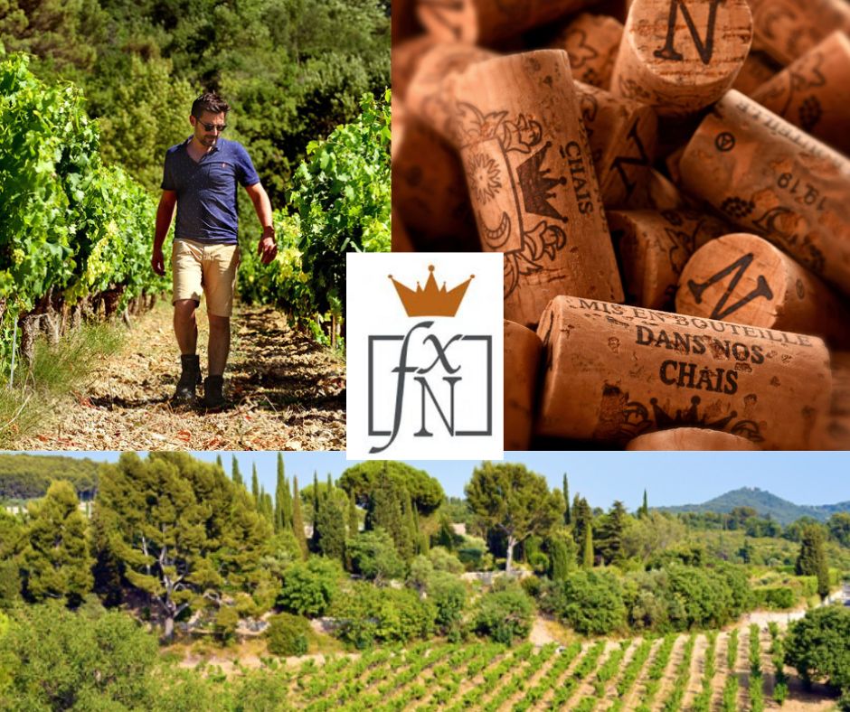 François-Xavier Nicolas: vignobles