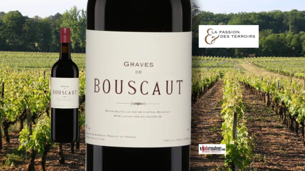 Quand le terroir de Graves s’exprime : Bouscaut 2020.