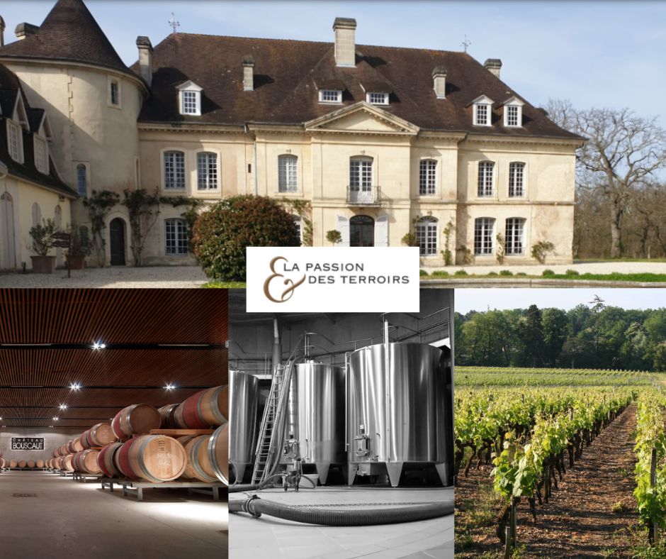 La Passion des Terroirs: Château Bouscaut: château, chai et vignobles