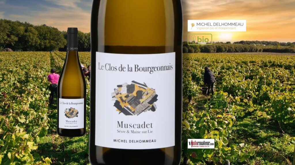 Le Clos de la Bourgeonnais 2023 – Muscadet Sèvre-et-Maine Sur Lie bio : fraîcheur et sensation de minéralité.