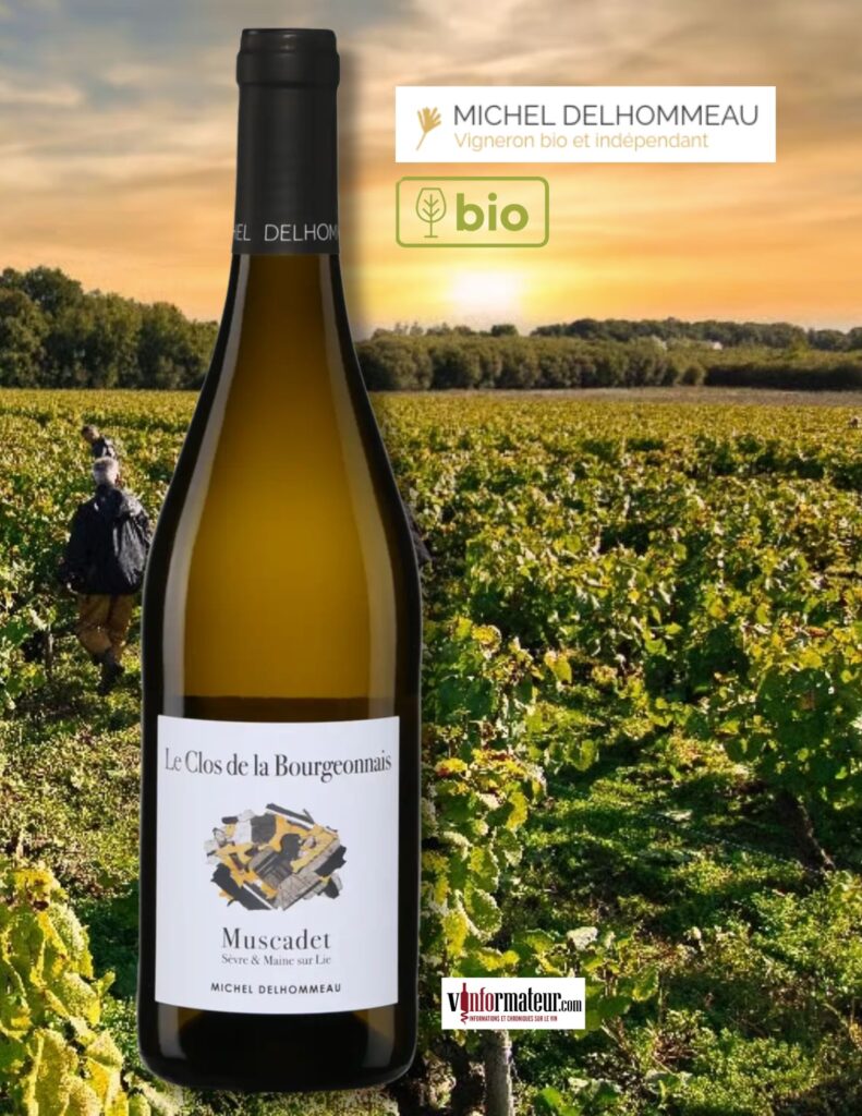 Le Clos de la Bourgeonnais, France, Muscadet Sèvre et Maine Sur Lie, vin blanc bio, Les Vignobles de Saint Vincent, Michel Delhommeau, 2023 bouteille