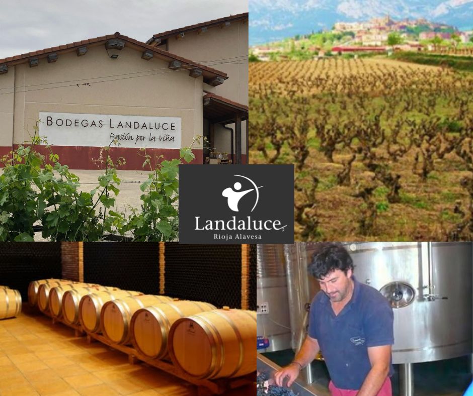 Bodegas Landaluce: chai et vignobles