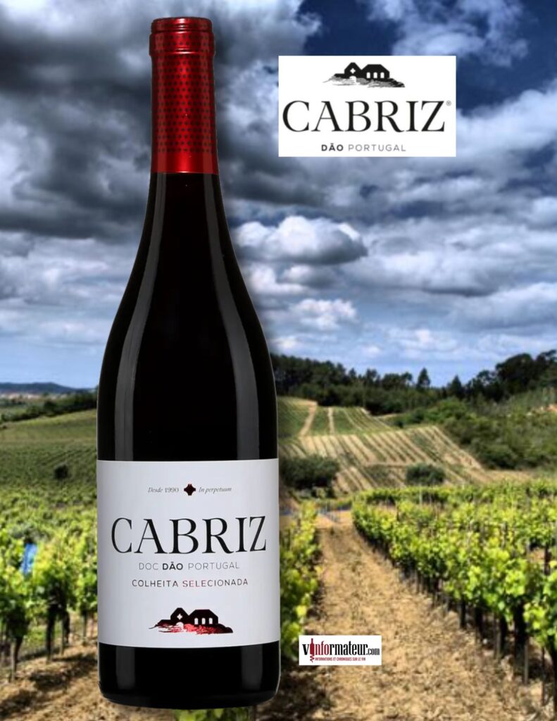 Quinta da Cabriz, Colheita Selecionada, Portugal, Dao, Quinta da Cabriz, 2022 bouteille