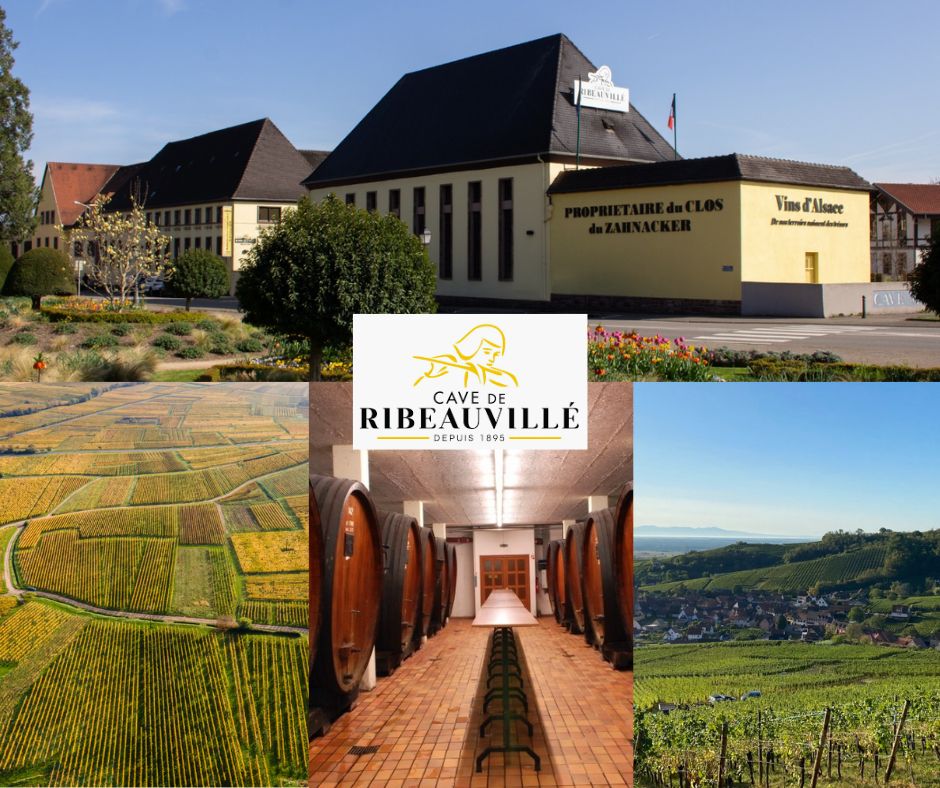 Cave de Ribeauvillé: chai et vignobles