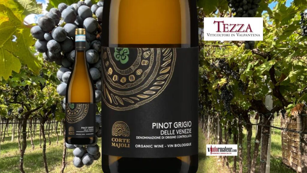 Pinot Grigio, Corte Majoli, 2023, bio, DOC delle Venezie.