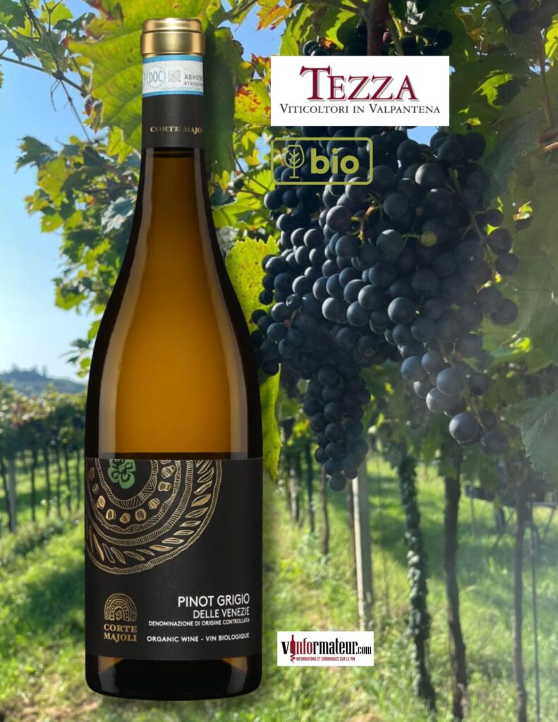 Pinot Grigio, Corte Majoli, Italie, Vénétie, Pinot Grigio delle Venezie DOC, vin blanc bio, 2023 bouteille